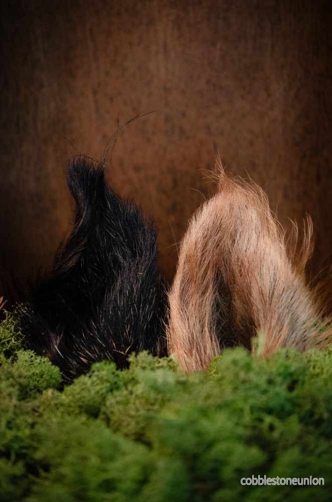 Vildsvinsöron med borst – Naturligt segt tugg från de svenska skogarna - Bild 2