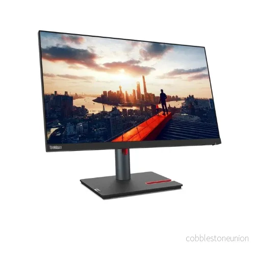 Lenovo ThinkVision P24h-30 |23.8"| QHD | IPS | Svart | Utmärkt skick (USB-C Docking) - Bild 2