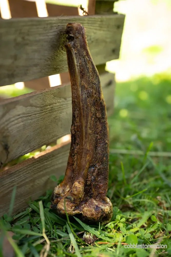 Hästsvansar – Naturligt och smakrikt tugg i stora bitar Hästsvansar – Naturligt och smakrikt tugg i stora bitar