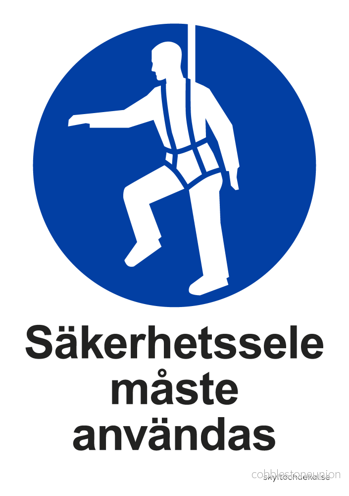 Säkerhetssele måste användas Säkerhetssele måste användas