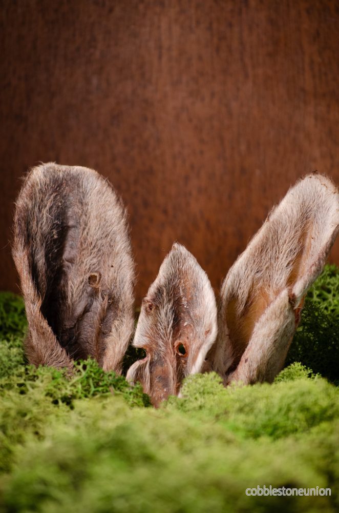 Lammöron med Päls – Naturligt tugg som främjar magen - Bild 2