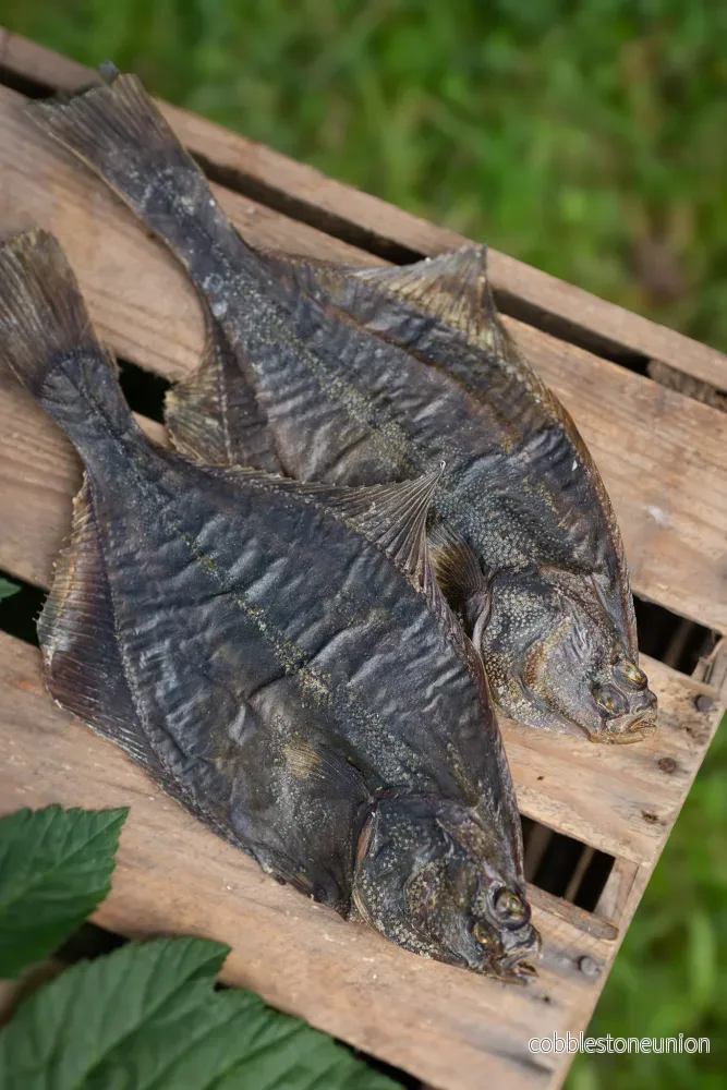 Spätta: -smakrikt, nyttigt och naturligt Spätta: -smakrikt, nyttigt och naturligt