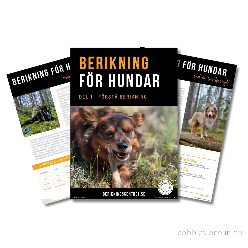 E-bok Berikning för hundar Del 1: Introduktion till berikning