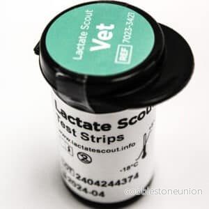 Lactate Scout Vet Teststickor Lactate Scout Vet Teststickor