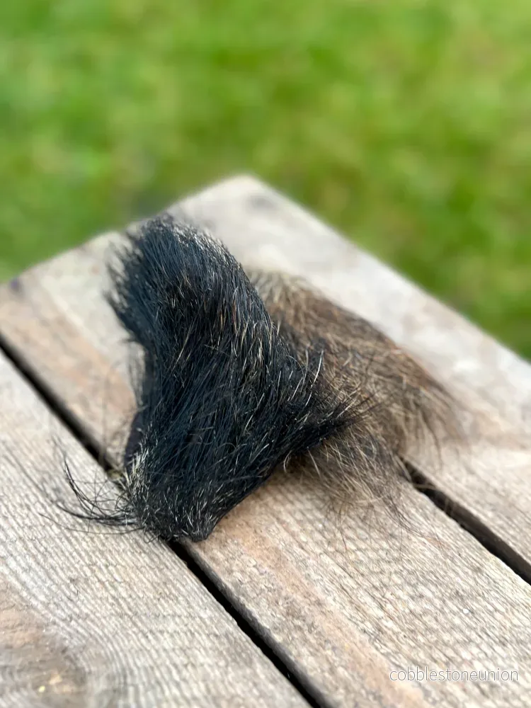 Vildsvinspäls Vildsvinspäls