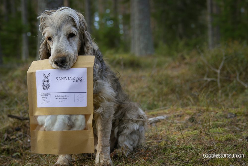 Torkad Kanintass – Naturligt snacks och aktivering i ett! - Bild 3