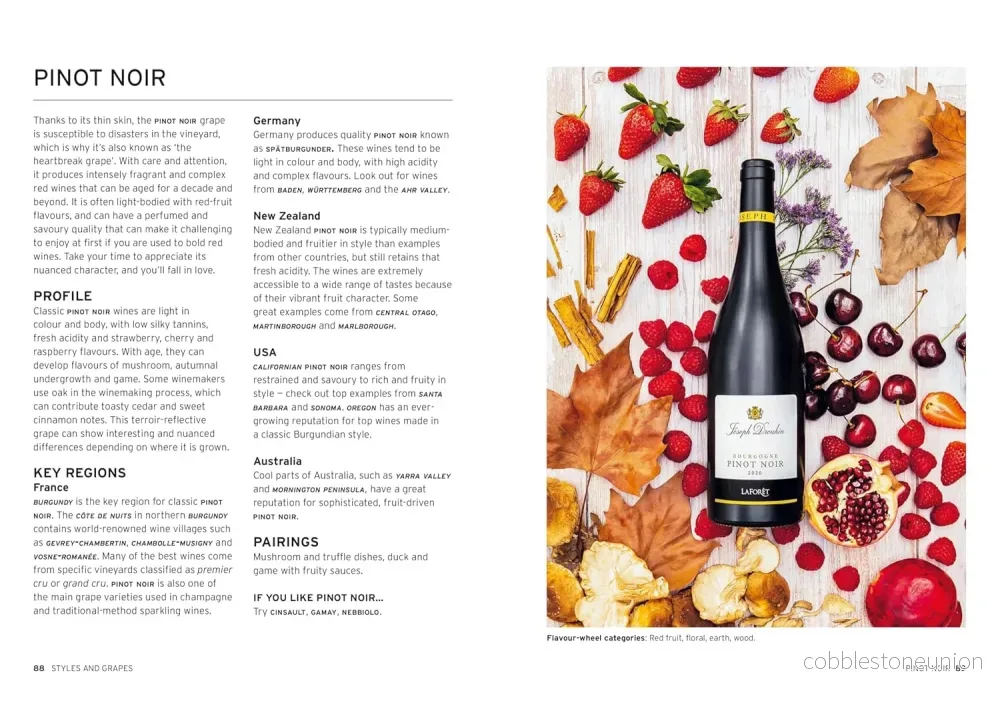 Wine - Taste Pair Pour - Bild 3