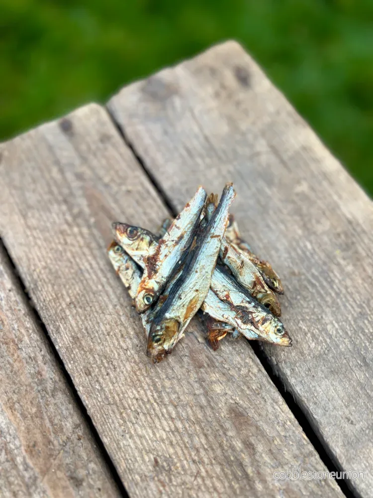 Skarpsill