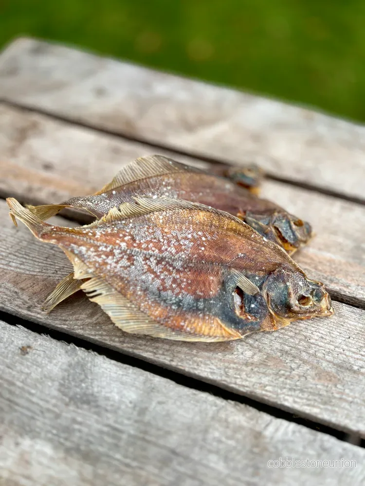 Spätta