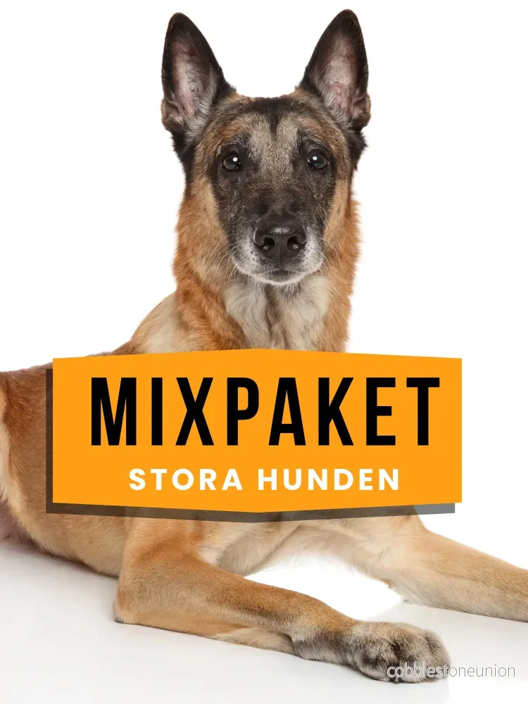 Mixpaket Stora hunden