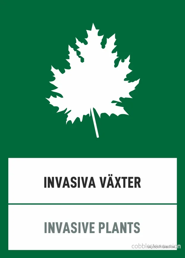Invasiva växter
