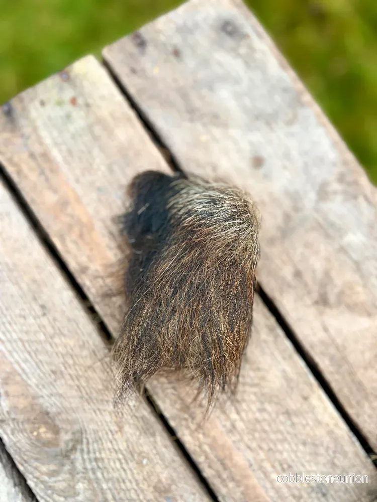 Vildsvinspäls - Bild 2