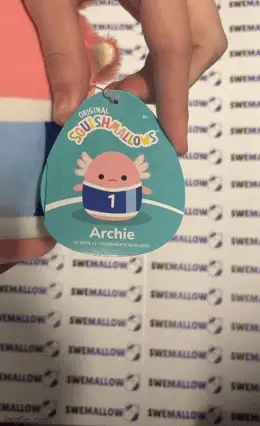 Squishmallows 19 Cm Archie The Axolotl - Bild 2