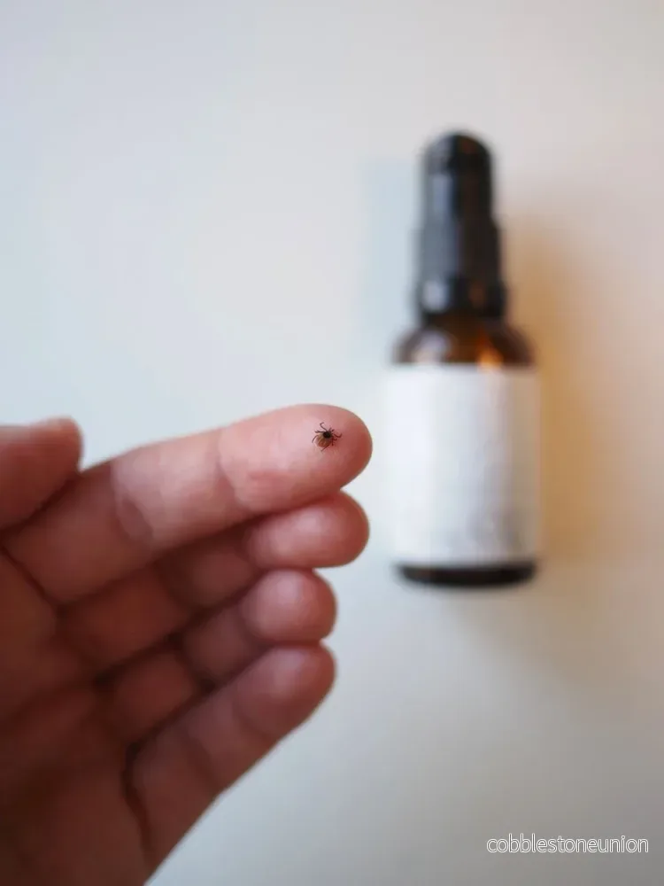 Bug off - Ekologisk mygg- & fästingmedel - Bild 2