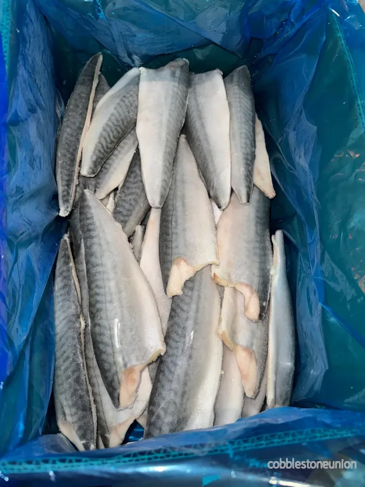 Makrillfilé (2.5kg) - Bild 2