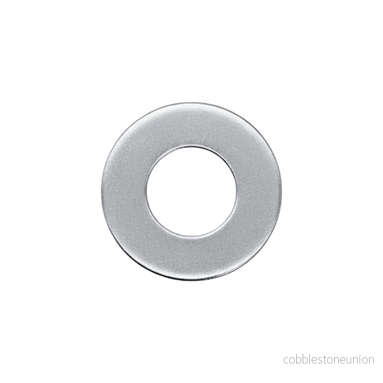 BRP skive 4 mm rustfri (5 stk) 234042600