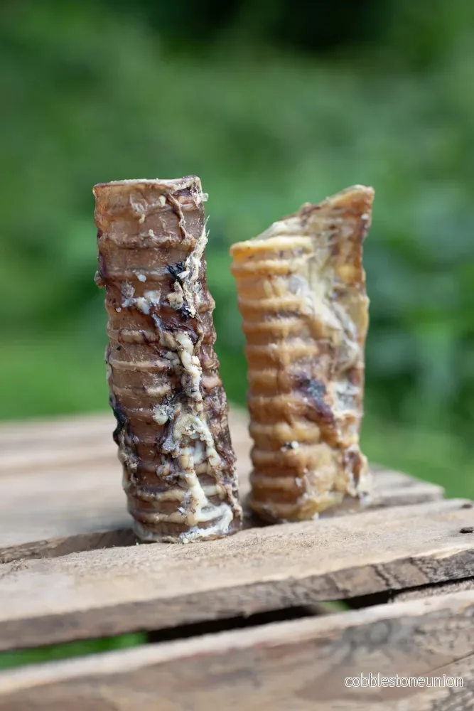 Torkad oxstrupe medium– Naturligt och näringsrikt tugg - Bild 2