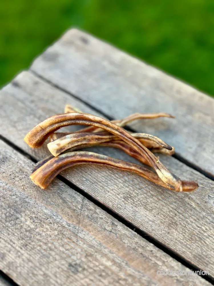 Grisknorrstrips