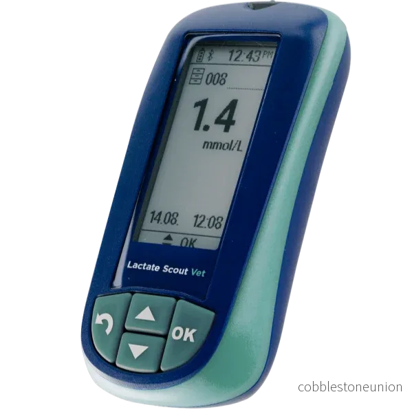 Lactate Scout Vet
