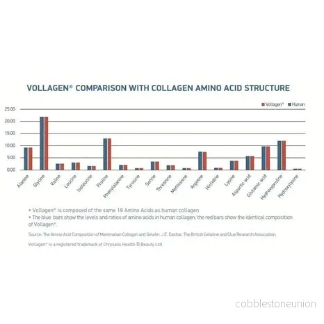 Terranova Vollagen Complex Vegansk Collagen, 50 kapslar - Bild 3