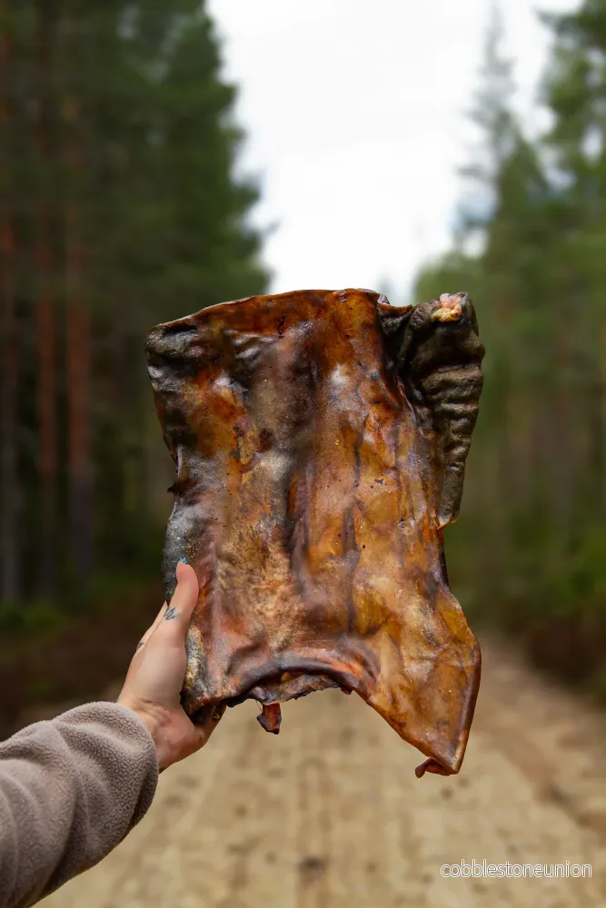Torkat Hästskinn XL – Extra Hårt & Fettsnålt Tugg Torkat Hästskinn XL – Extra Hårt & Fettsnålt Tugg