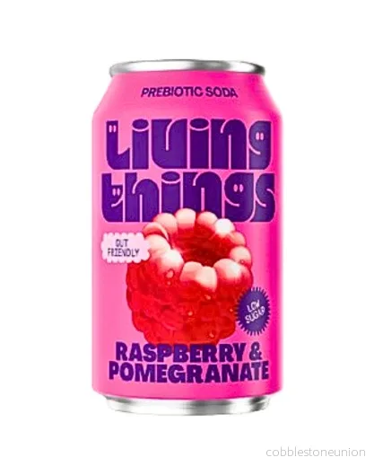 Living Things Rasberry & Pomegranate 33cl burk 12-pack Living Things Rasberry & Pomegranate 33cl burk 12-pack