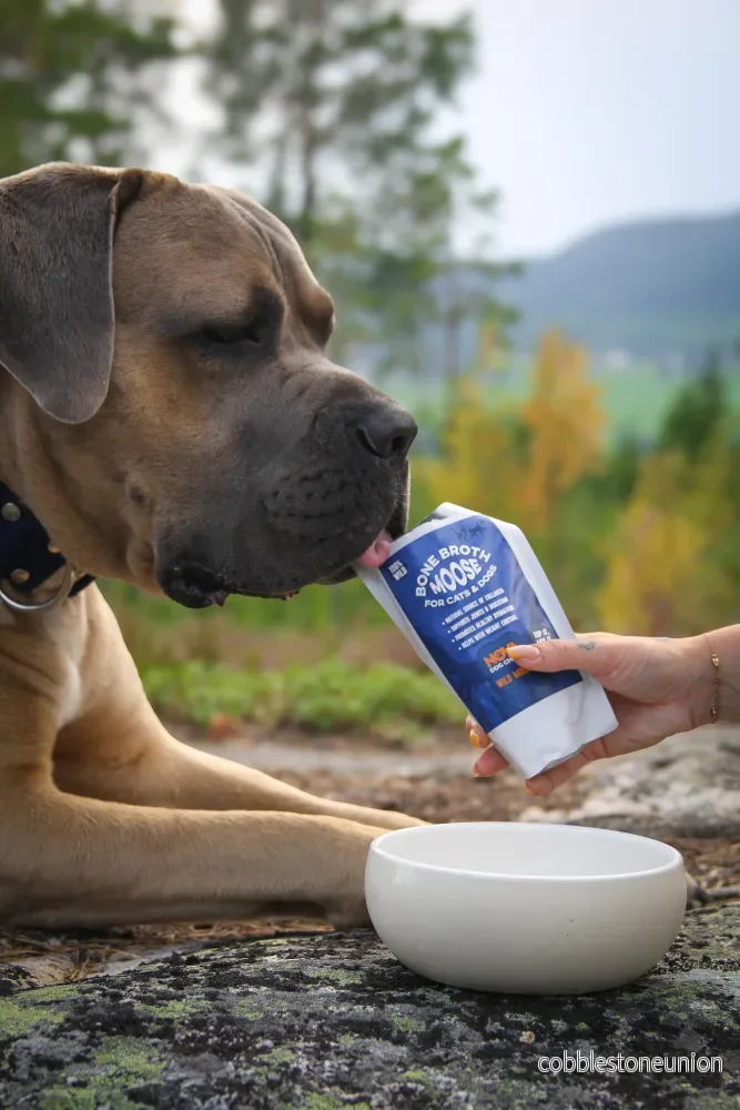 Benbuljong för hund – naturlig hydrering och näring i varje skål - Bild 3