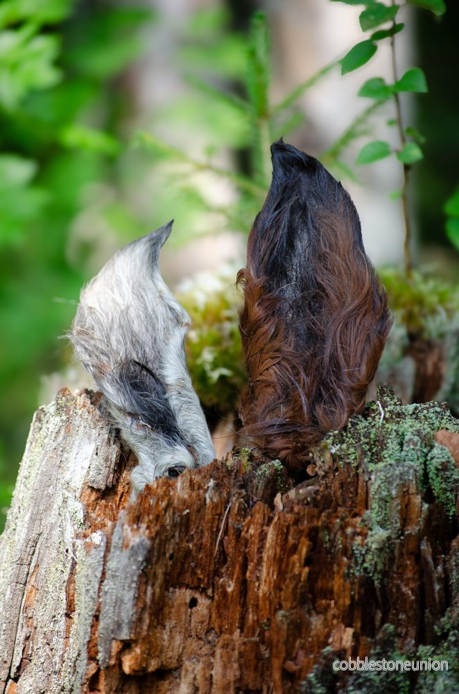 Torkade Hästöron – Naturligt & Skonsamt Hundgodis - Bild 2