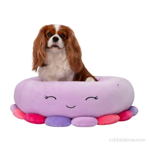 Squishmallows Pets Djursäng M 61 Cm Octopus Squishmallows Pets Djursäng M 61 Cm Octopus