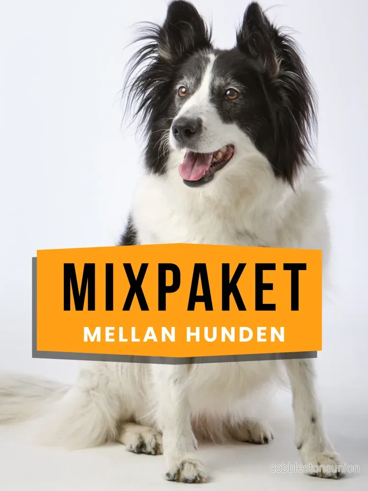 Mixpaket Mellan hunden Mixpaket Mellan hunden