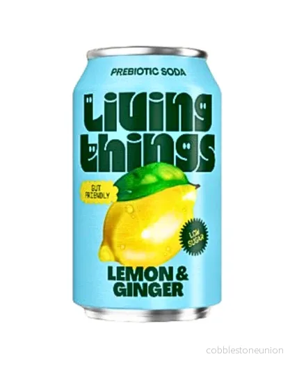 Living Things Lemon & Ginger 33cl burk 12-pack Living Things Lemon & Ginger 33cl burk 12-pack