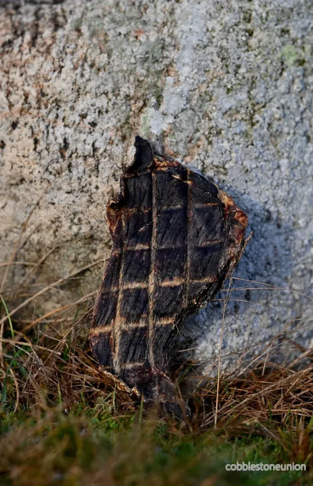 Torkat Hästkött – Skonsamt, Smakrikt och Allergivänligt Snacks