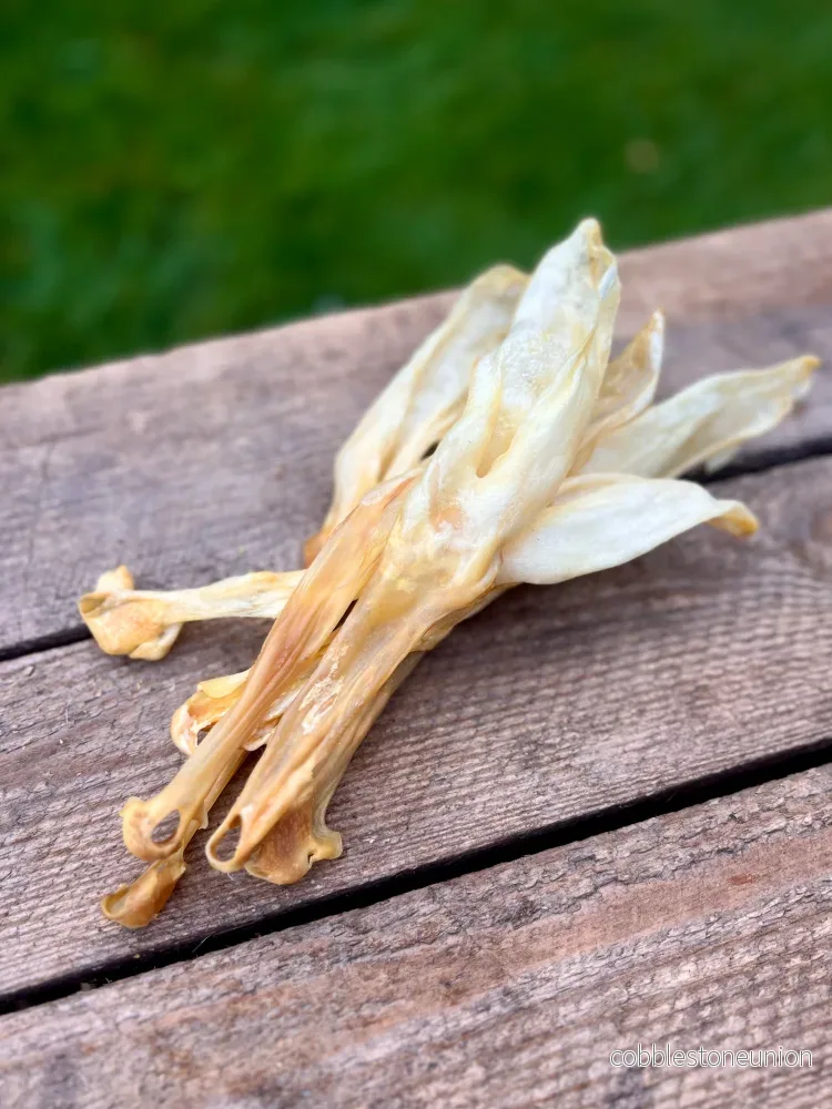 Kaninöron utan päls - Bild 3